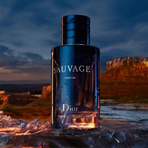 dior eau sauvage edp canada|Dior Sauvage cheapest price 100ml.